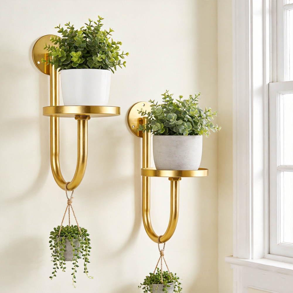 Wall Plant Holder Set of 2 for Outdoor, Metal Hanger | Floating Flower Display Stand for Window, Space Saving & Easy to Assemble (Pots/Plants Not Included),Golden