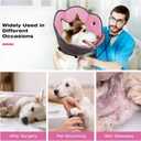 Foldable Pet Cone Collar to Stop Licking After Surgery Adjustable