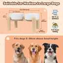 Elevated Ceramic Dog Bowl Set - Heavy Duty Double Dishes with Anti-Slip Stand - Raised Food and Water Bowls for Medium and Large Dogs - 4.5 Cups (68 fl oz) - Green