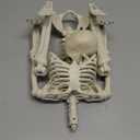 JIALWEN 36" Halloween Posable Skeleton Decorations, 3FT Realistic Plastic Human Full Body Bones with Movable Joints Skeleton for Haunted House Graveyard Props Indoor Outdoor Halloween Party Supplies