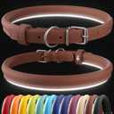 CollarDirect Reflective Rolled Leather Dog Collar, Soft Padded Round Puppy Collar, Handmade Genuine Leather Collar Dog Small Large Cat Collars 13 Colors (11-14 Inch, Cinnamon Smooth) (Brown)