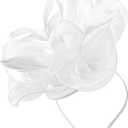 DRESHOW Fascinators Hat Tea Party Headwear Ribbons Feathers on a Headband and a Clip for Women (White)
