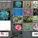 Succulent Calendar 2026 Monthly Wall Calender 12 Month | American Made In The USA