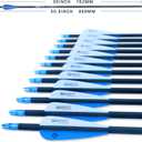TIGER ARCHERY 30Inch Carbon Arrow Practice Hunting Arrows with Removable Tips for Compound & Recurve Bow(Pack of 12)