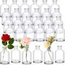 Lallisa 30 Pcs 4 Inches Small Glass Bud Vases Bulk Mini Flower Vases for Centerpieces Decorative Glass Bottles Vintage Rustic Decoration for Wedding Dining Table Home Decor (Transparent)