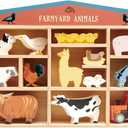 Tender Leaf Toys Farmyard Animals  13 Wooden Country Farm Figurines with a Display Shelf - Classic Toy for Pretend Play  Develops Creative & Imaginative Skills  Learning Role Play  Ages 3+ Years