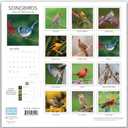 Songbirds Calendar 2026 - Hangable Wall Birds Calendar, Animal Calendar with Stunning Bird Photography, 12-Month Planner for Organizing and Planning, Ideal Gift for Birders, 12 x 12 Inches