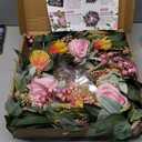 24 Inch Spring Rose Wreath Handmade Wreath for Front Door, with Eucalyptus Berries & Flocking Prote, Farmhouse Wreath for Home Indoor Outdoor Wall Festival Farmhouse Holiday Decor Year Round