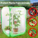 Mesh Plant Tent Enclosure, Pop-Up Cage Plant Cover, Outdoor Garden Protection Guard for Pests, Bird, Pest (35 x 35 x 59 Inches)