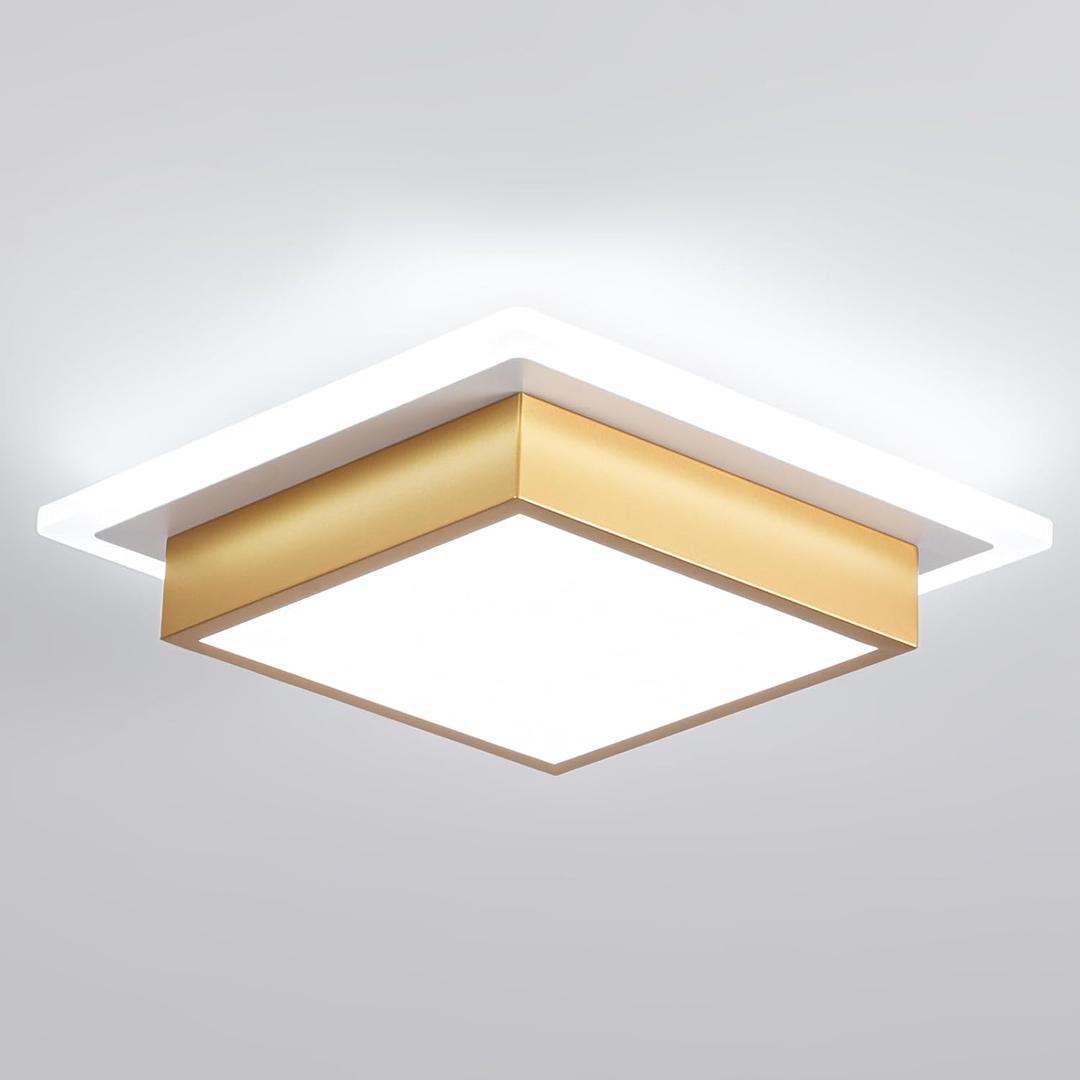 EIDISUNY Modern LED Ceiling Light, Hallway Ceiling Light, 6000K Cold White Flush Mount Ceiling Lamp, Square Hallway Lighting Fixtures for Living Room Bedroom Bathroom Kitchen