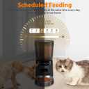 Automatic Cat Feeder, Cat Food Dispenser with Stainless Steel Bowl, Timed Portion Control 20 Portions 6 Meals Per Day, Voice Recorder, Dual Power Supply for Small Dogs