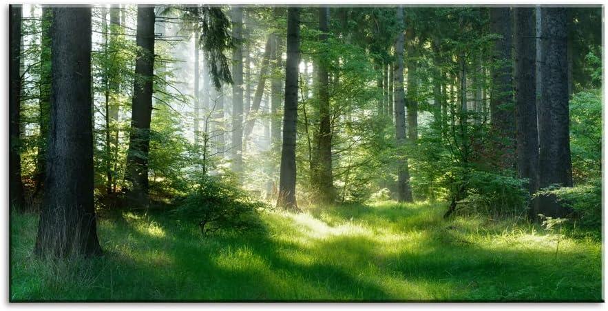 Morning Sunlight Forest Large Stretched Canvas Wall Art for Living Room Bedroom Home,Mordern Woods Scenery Picture Print Painting Decor Artwork,Green Landscape Gallery Wrapped Gift,Inner Frame(24x48) (Green Nature Tree & Grassland (D211))