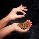 CRAVE Grain Free Indoor Adult High Protein Natural Dry Cat Food with Protein from Chicken & Salmon, 10 lb. Bag