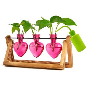 XXXFLOWER Plant Terrarium Propagation Stations Unique Gifts for Women Wife Mom Plant Lovers 3 Heart Shaped Vases for Hydroponics Home Garden Office Decor(Plants NOT Included)