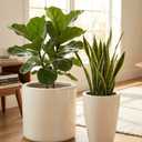 Beige Urn Planters 2 Pack, Pedestal Planter Pots, Decorative Flower Pots, Indoor & Outdoor Use, Drainage Holes & Plugs, Front Porch, Patio & Garden