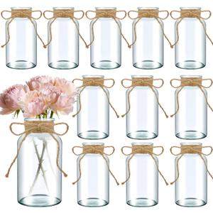 12PCS Transparent Glass Flower Vases for Centerpieces Boho Cylinder Bud Vases in Bulk Mason Jars for Weddings, Parties & Vintage Home Decor(Transparent 12)