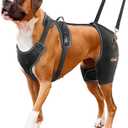 CHAMIN/RISURRY Dog Hip Brace Support for Hip Dysplasia, Arthritis, Back Leg limping, Rear Leg Brace with Back Handheld Design to Reduce Hip Pain et(Large)