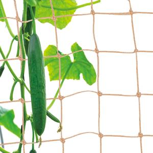 Plant Support Trellis Netting - Biodegradable Natural Jute Net for Garden Climbing Vining Plants Cucumber, Vine, Fruits & Vegetables Tomato (3.3 Ft X 6.6 Ft, 3.9 Inch Squares)
