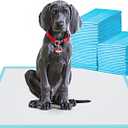 BESTLE Large Pet Training and Puppy Pads Pee Pad for Dogs 24"x24"-80 Count Super Absorbent & Leak-Proof