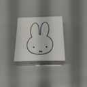 Miffy Bluetooth Wireless Earbuds Headset (Bule)IPX5 Waterproof Ear Buds Headphones