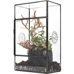 NCYP Glass Enclosure for Large Jumping Spider - 5.1" x 3.9" x 9" Front Opening Door Glass Terrarium with 3 Vent Holes, Small Snail, Insects Habitat, Black (Terrarium Only)