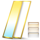 1x4 FT LED Flat Panel Light Surface Mount with Gold Border-50W 5500LM 120V 3000K/4000K/5000K Triac Dimming 10%-100% Kitchen Lights Ceiling Flush Mount for Garage/Basement/Shop