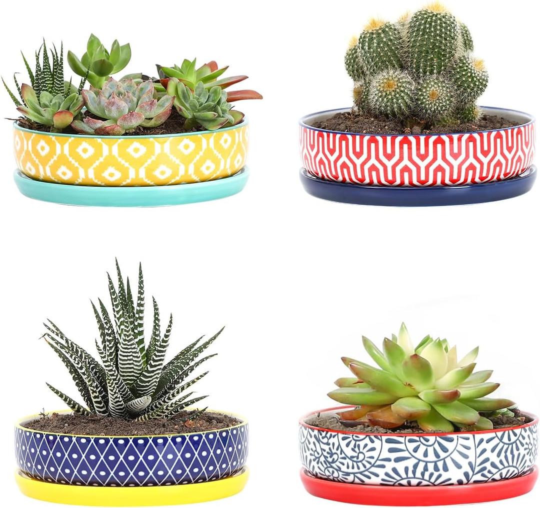 Selamica Ceramic Succulent Pots, Shallow Succulent Planters with Drainage Hole & Saucer, Indoor Plant Pots for Cactus, Home DecorAssorted Colors,6 inchSet of 4