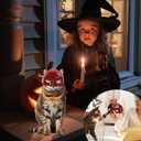 4 x Cat Mask for Cosplay - Cute & Comfortable Halloween Costume Accessory for Cats (Red 1 pcs)