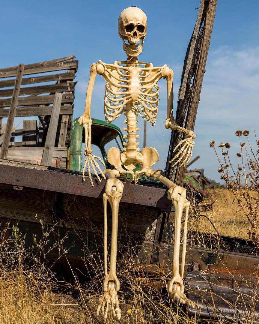 5.4-ft 165cm 1Pack Life Size Skeleton, Large Full Size Skeleton Halloween Decorations Realistic Plastic Posable Skeleton Decor for Outdoor Yard 5ft to 6ft Big Skeleton Poseable Standing Sitting