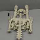 36" Skeleton Halloween Decorations, 3FT Realistic Full Body Movable Posable Joints Skeleton, Creepy Halloween Plastic Skeleton for Graveyard Decorations, Haunted House Props Indoor/Outdoor Decor