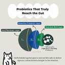 Oh!Pet 5-in-1 Digestive Probiotics  7B CFU Powder for Dogs & Cats with Prebiotics & Enzymes (Chicken, 30 Packets)