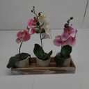 Winlyn Set of 3 Small Artificial Orchid Potted Plants Arrangement with Rustic Wood Planter Box Real Touch Faux Phalaenopsis Moth Orchid Flowers in Pots for Home Office Desk Shelf Table Centerpiece
