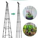 MYMULIKE 2Pack Garden Trellis for Climbing Plants Outdoor Indoor Pot 67'' Cucumber Trellis for Climbing Plant Support for Climbing Vegetables Plants Garden Obelisk Trellis Tomato cage & Climbing Rose