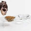 Acrylic Elevated Dog Cat Bowls Pet Feeder Double Bowl Raised Stand Comes with 2 Removable Glass Bowls and 2 Stainless Steel Bowls.Perfect for Cats Puppies Small Dogs (Small: 3.75'' Height, 13.7 oz Glass Bowl)