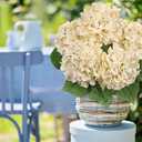 Hollyone Beige Hydrangea Artificial Flowers Large Artificial Hydrangeas Silk Flowers for Home Decor Indoor Wedding Flowers Bouquets Faux Flowers Kitchen Centerpiece Table Decorations
