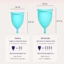 EcoBlossom Reusable Menstrual Cup Set - The Most Reliable Medical Grade Silicone Period Cups - Comfortably use for 12 Hours (Small & Large)