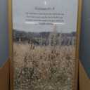Vintage Christian Wall Art Wildflower Meadow Bible Verse Prints 16x24 Inch | Scripture Scenery Pictures Wall Decor, Rustic Inspirational Scripture Painting, Faith Based Gifts for Prayer Room, Office
