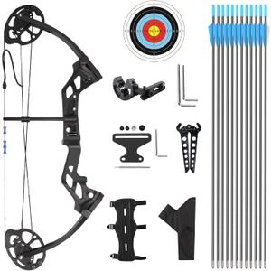 A208 Compound Bow and Arrow Set, 16-20 Lbs Draw Weight, Right Handed Bow for Youth Archery Beginner, Target Bow with Accessories for Teens Outdoor Sports Shooting Training