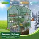 OLIXIS 56"x56"x77" Outdoor Greenhouse, with 2 Tier 8 Plant Shelves