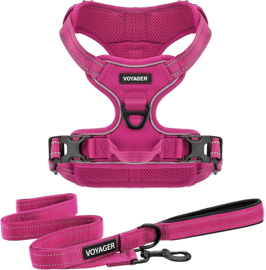 Voyager Dog Harness Dual Leash Attachment No-Pull Control Adjustable Soft but Strong Pet Harness for Medium and Large Dogs with 3M Reflective Technology, Leash Set Fuchsia Nylon, L (Chest: 25-30")