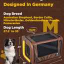 Car Dog Box