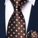 Barry.Wang Pre-Tied for Boys Solid Neckties and Pocket Square Set Adjustable Ties 15'' Teenager School Graduation Performance (Brown Polka Dots)