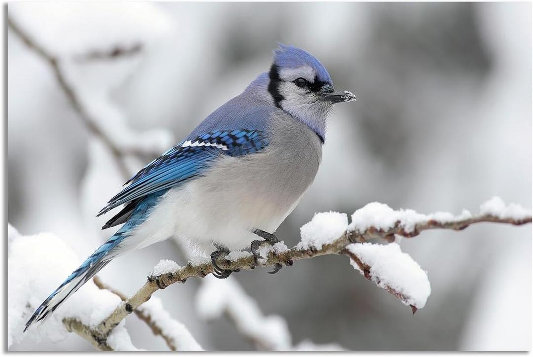 Sbemyenus Vintage Birds Poster Winter Retro Style of Canvas Wall Art Prints Printed Animal Poster Thrush Bird Snow Landscape Nature Photography for Living Room Office Bedroom, 12x18inches Frameless