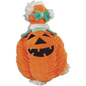 Amazon.com : Zack & Zoey Pumpkin Pooch Costume, Medium Orange : Pet Costumes : Pet Supplies