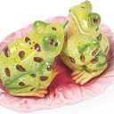 Ceramic Salt & Pepper Shakers,Hand Painted Novelty Frog and Lotus Leaf Kitchen Dcor