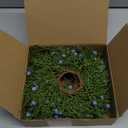 Giegxin 6 Pcs Christmas Taper Candle Rings Wreath with Blue Berry 2" Inner Diameter Mini Artificial Juniper Candle Ring Holder for Christmas Wedding Winter Home Table Centerpiece Xmas Holiday Decor