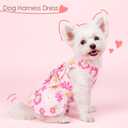 Dog Dress Harness Dresses Leash Set for Small Dogs Cute Girl Dog Clothes with Bowknot Puppy Outfits for Shih Tzu Yorkies Chihuahua
