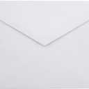 4 x Funny Cat Birthday Cardfor Women, Men, Coworkers, Friends & Family plus Free bonus Postcard included - a little birdie told us you're a year older