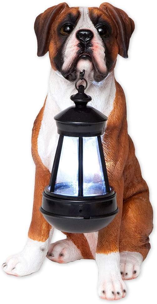 Bits and Pieces - Dog Solar Lantern Statue - Solar Powered Garden Lantern - Resin Dog Sculpture with LED Light - Outdoor Lighting and Dcor (Boxer)