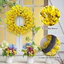 Spring Wreaths for Front Door, 24 Inch Yellow Forsythia Spring Door Wreath, Farmhouse Spring Door Wreaths on Grapevine for Celebration Wall Window Decoration Hanging